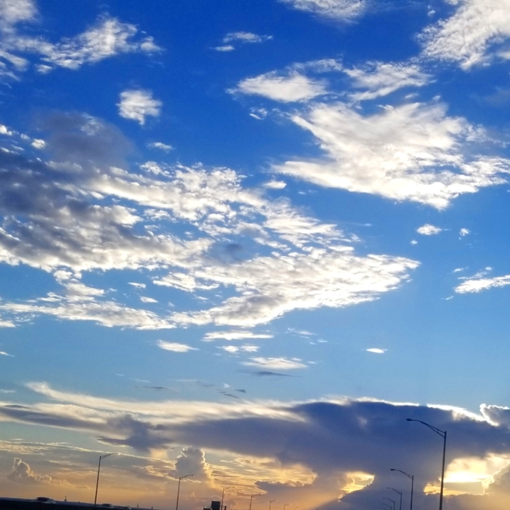 Meet your Posher, Tomeyka